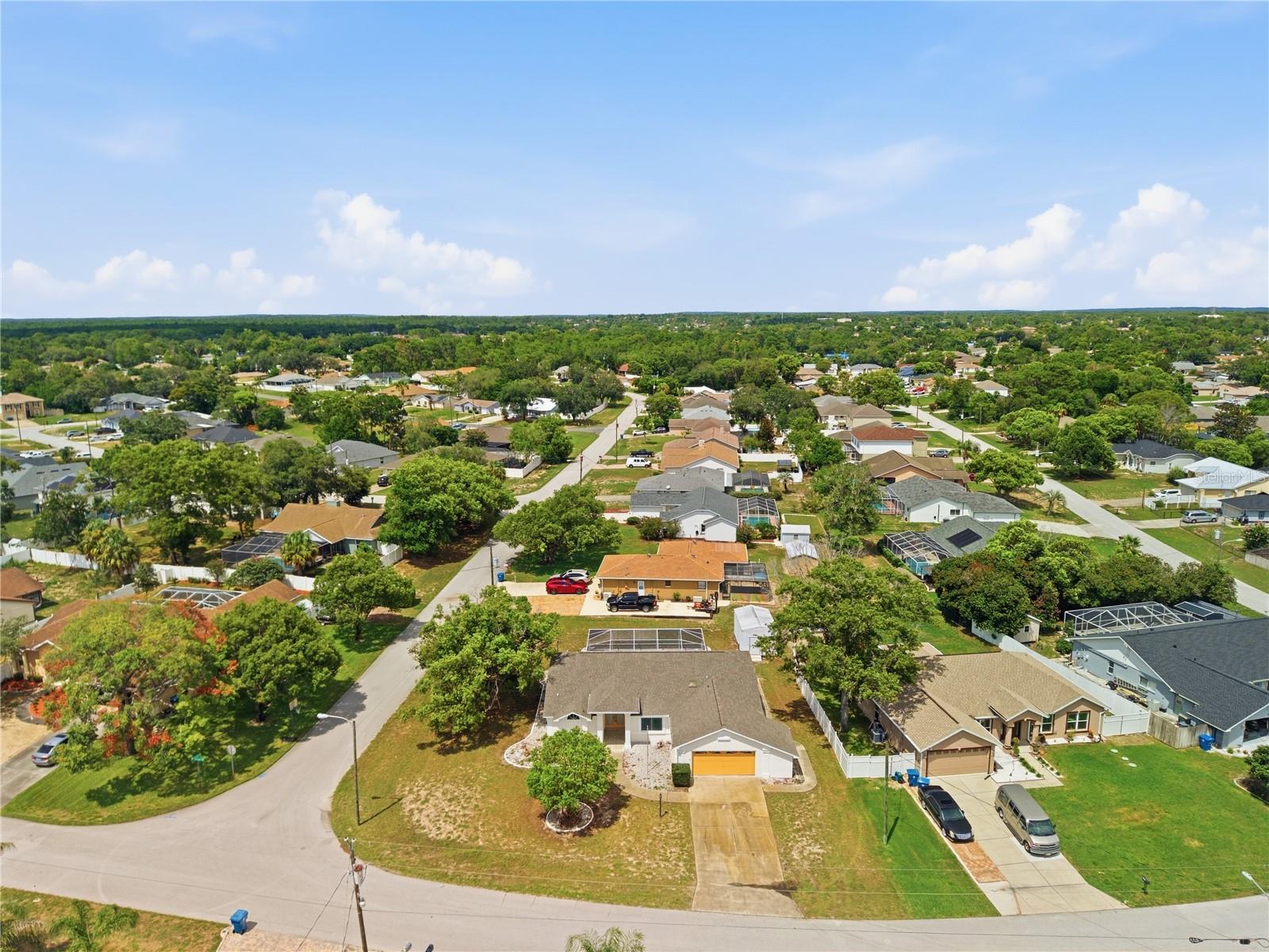 W7887269
