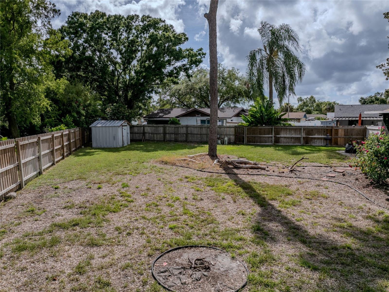 Backyard