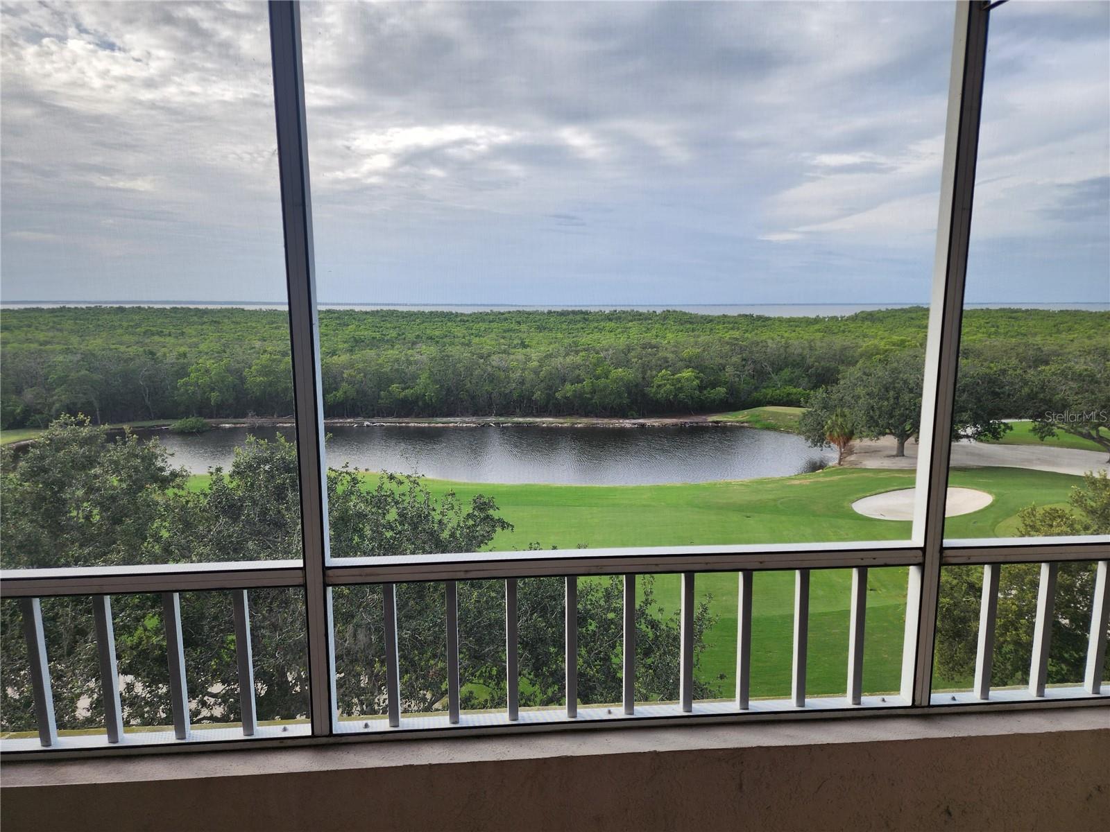 TB8525391