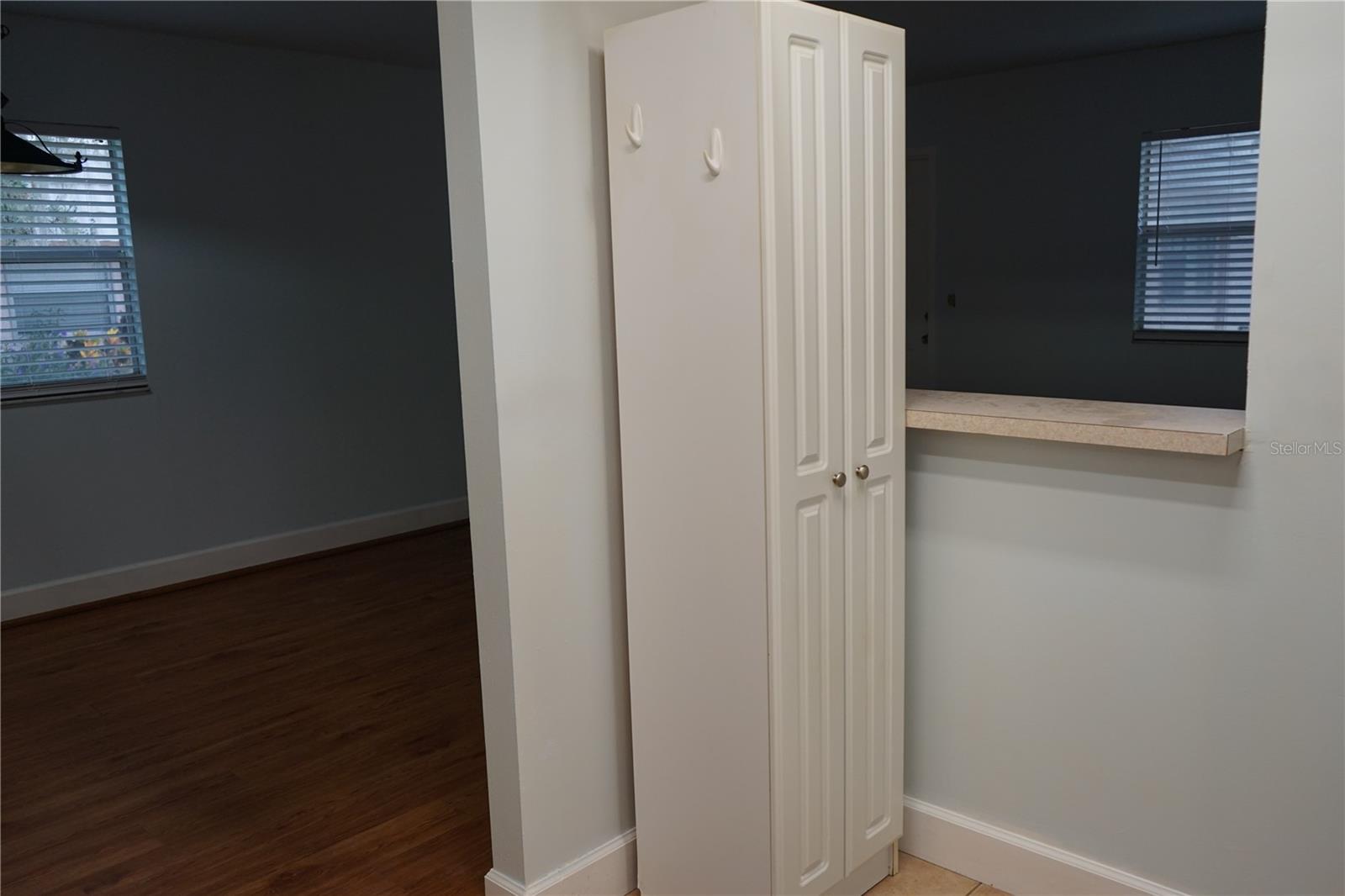 extra storage cabinet