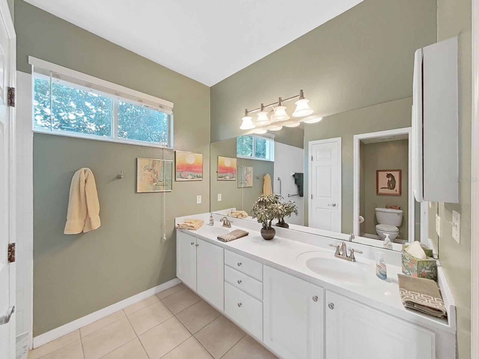 Primary Bathroom with expansive counter and storage