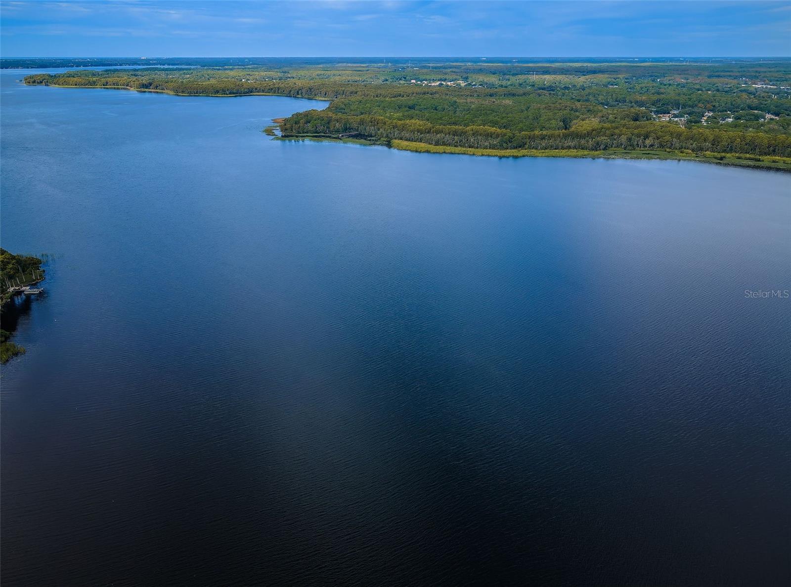 Beautiful Lake Tarpon