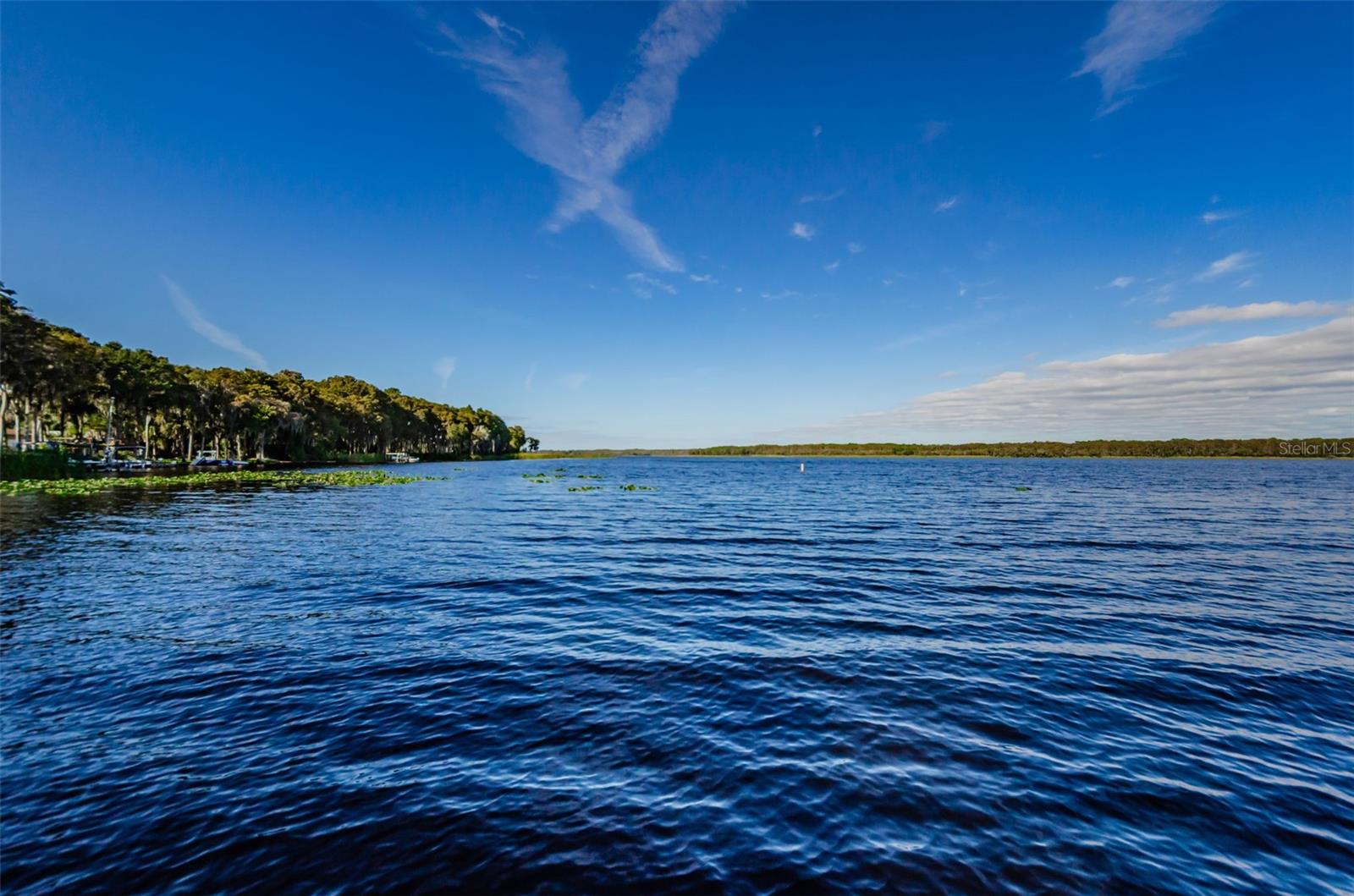 Beautiful Lake Tarpon