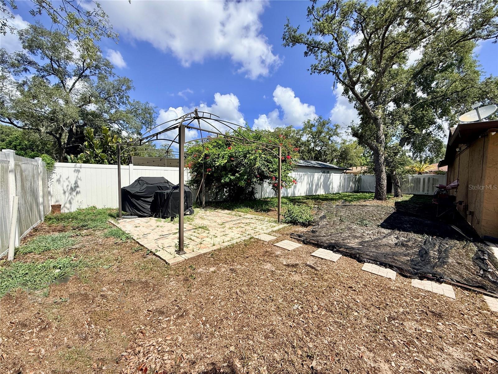 Back Yard
