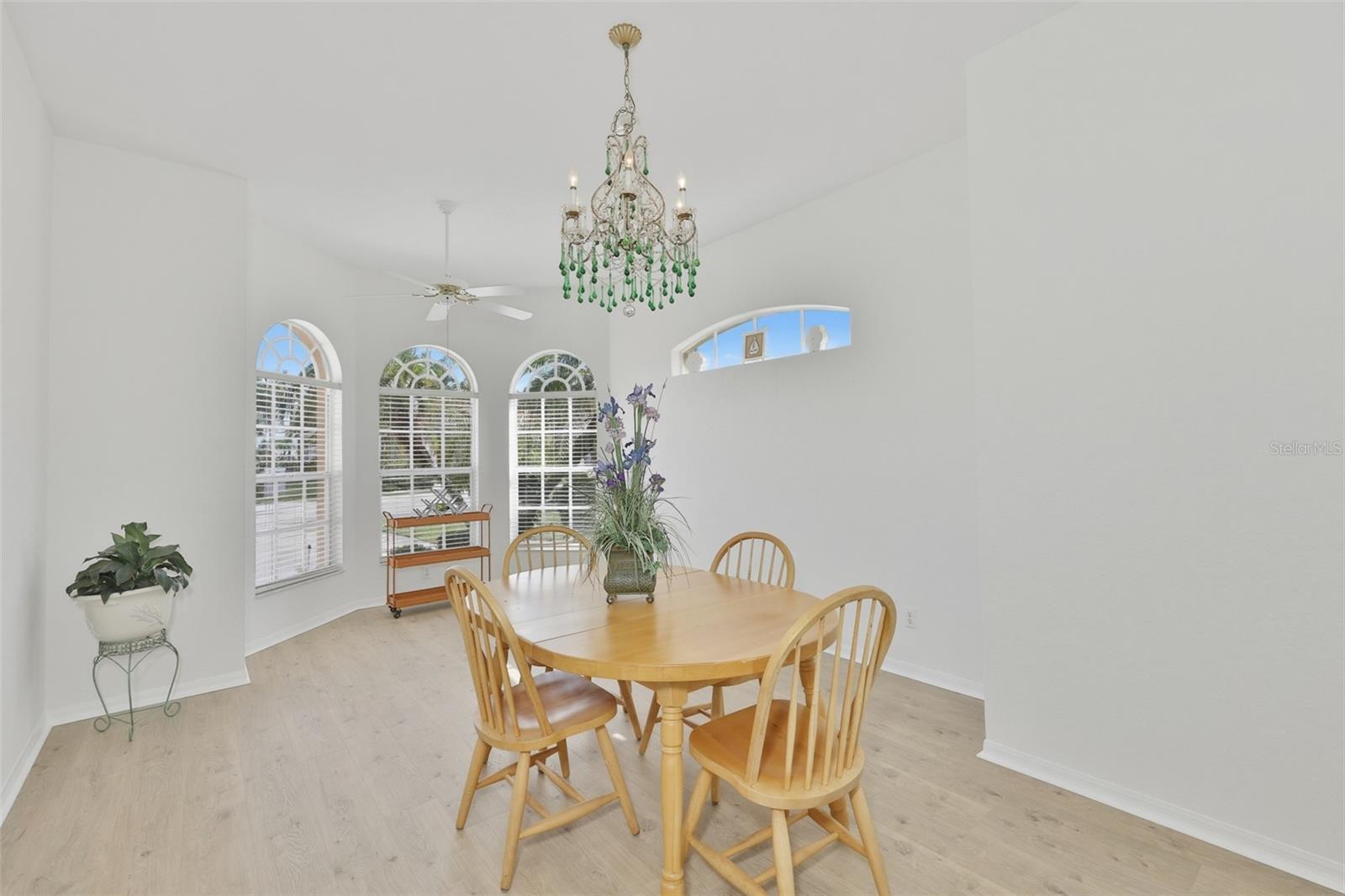 Large Front Room - Use as Dining/Office/Den High Ceilings, Newer LVT Flooring, & Arched Doorway, One of a Kind Crystal Chandelier