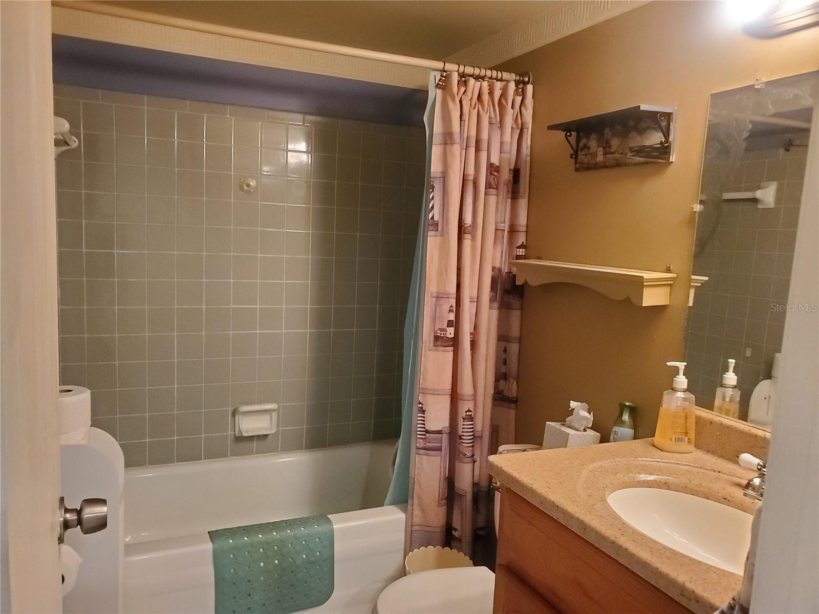 Hall bathroom tub and shower