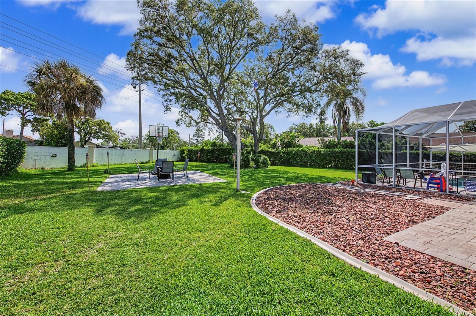 Oversized Backyard