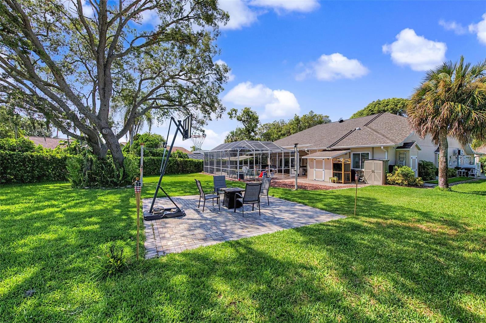 Oversized Backyard