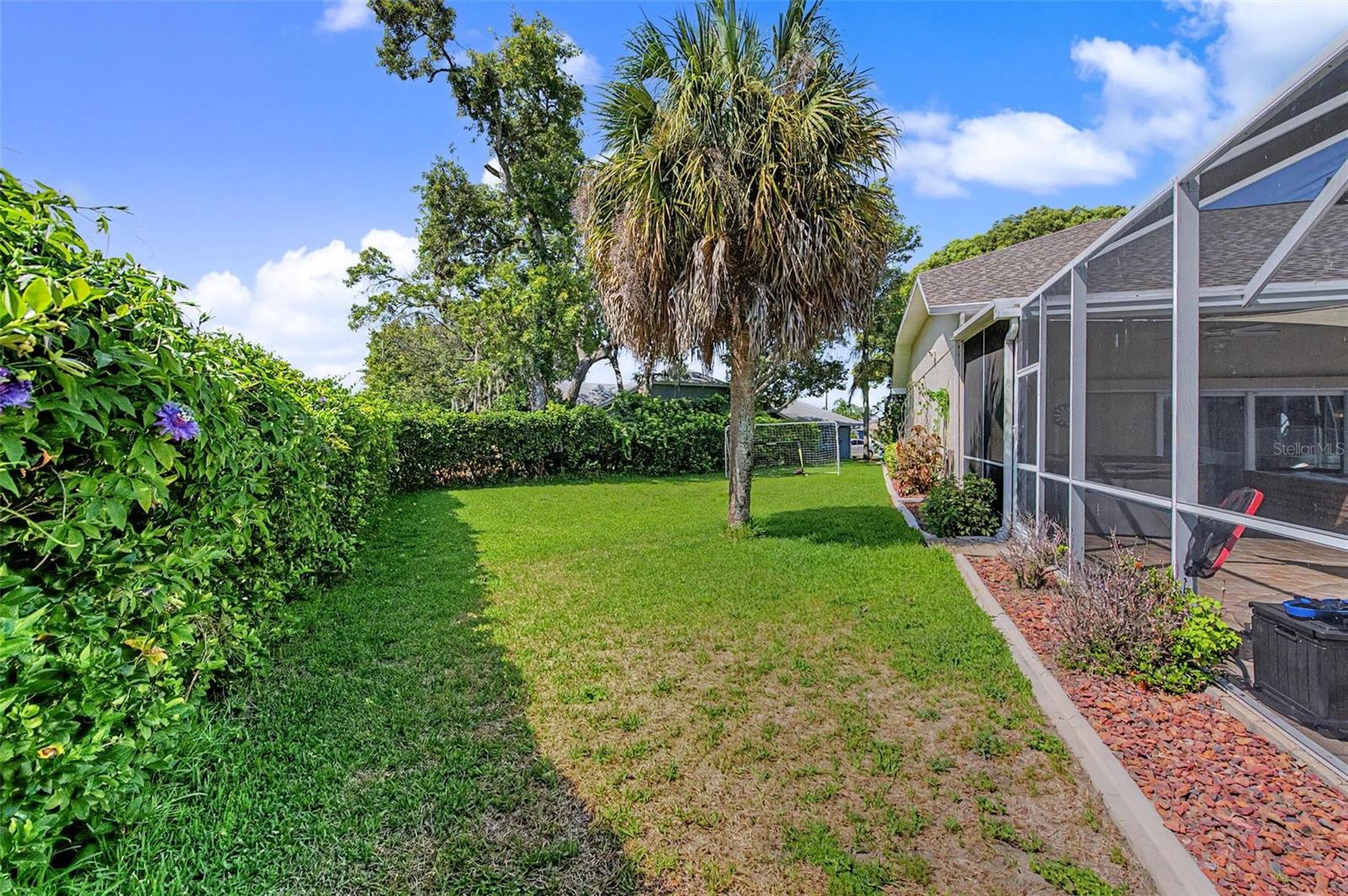 Side Yard