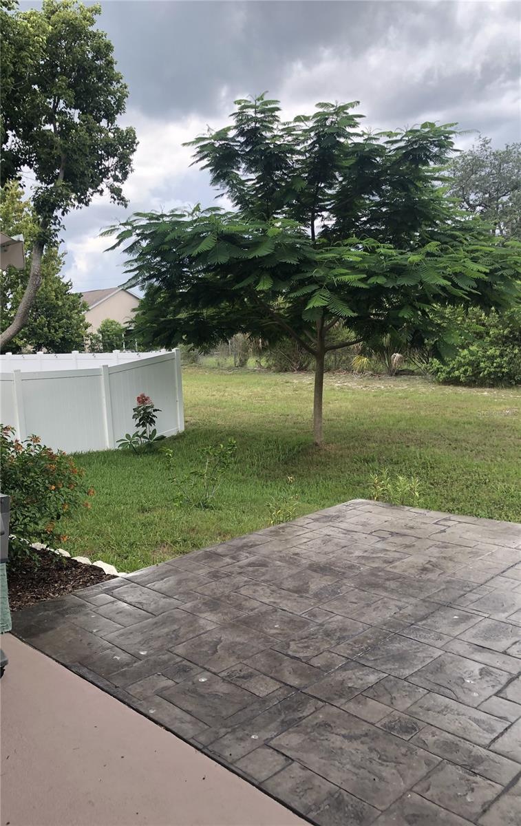 Patio View