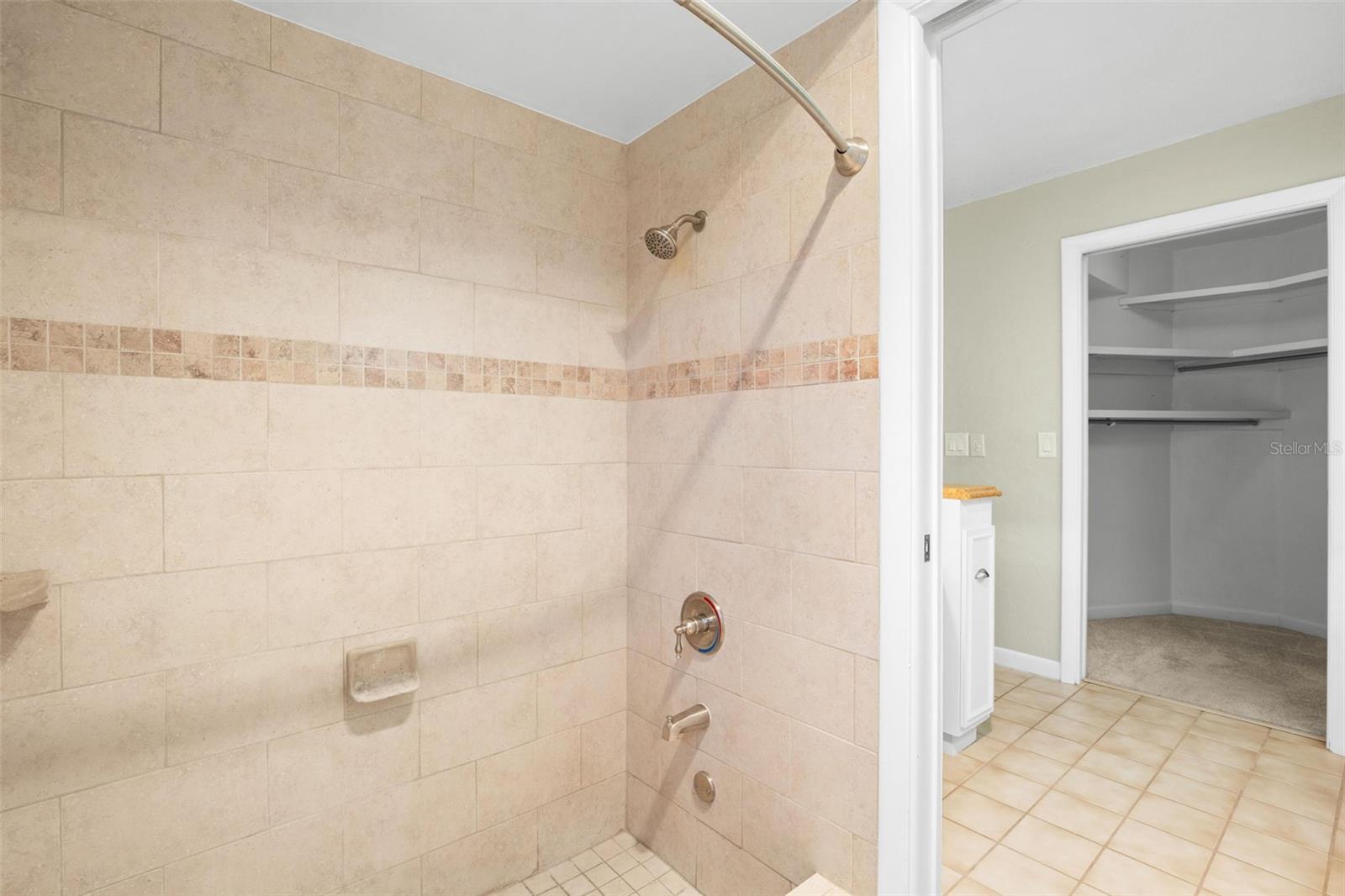Primary bathroom and walk-in closet