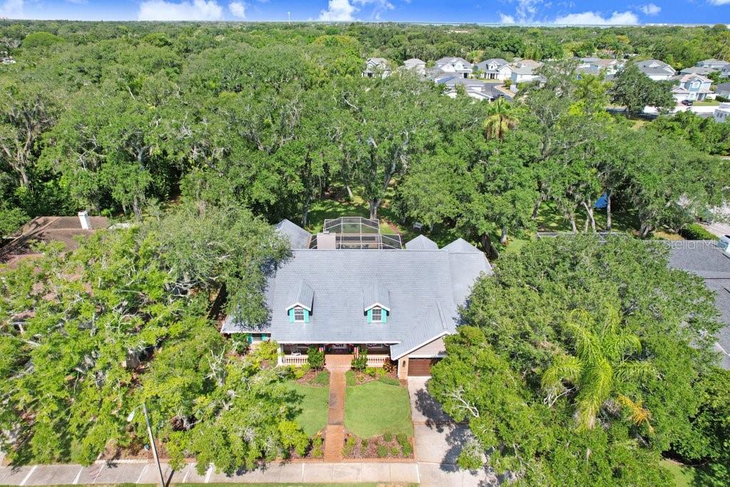 Drone view of property