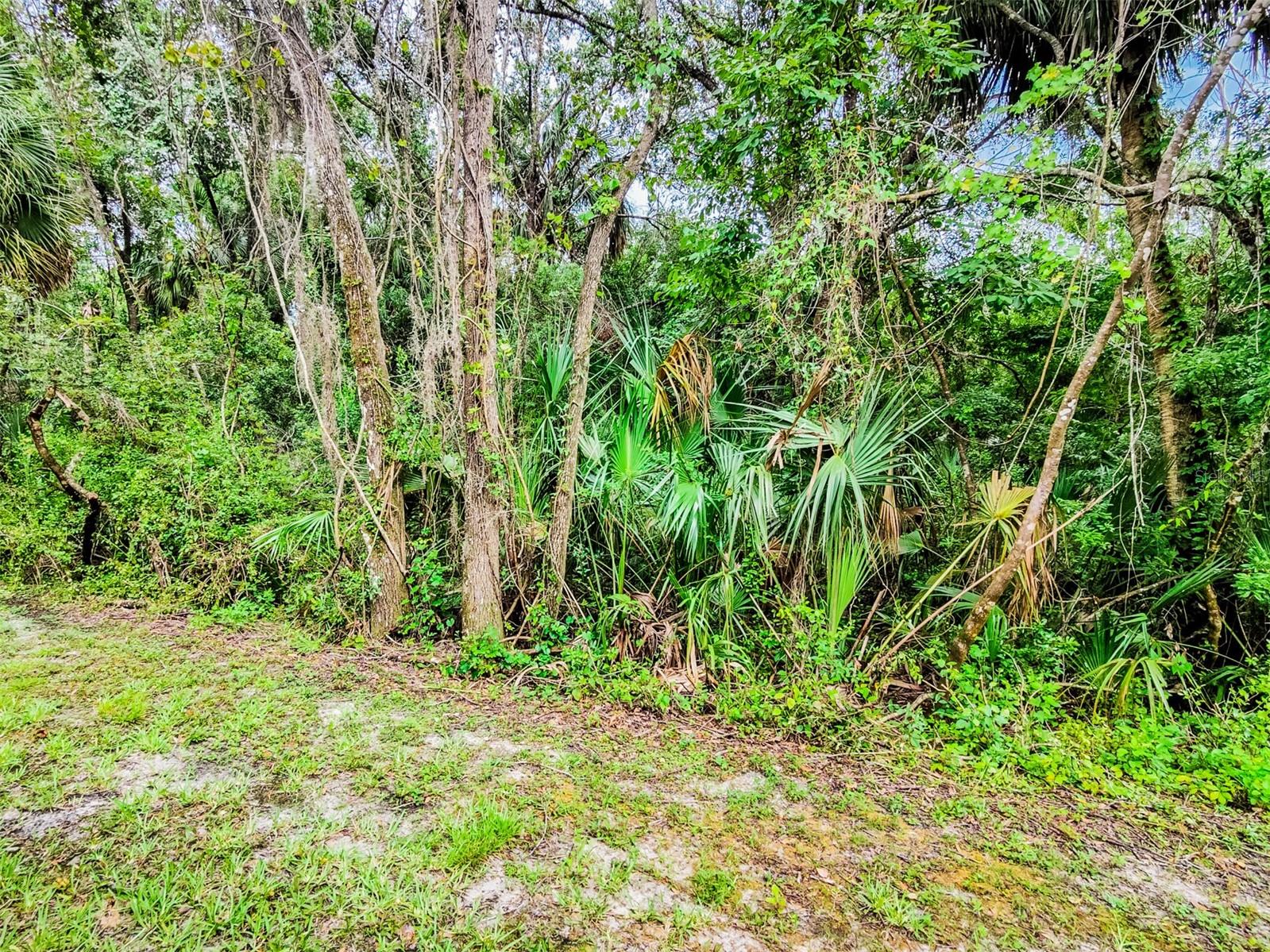 conservation view