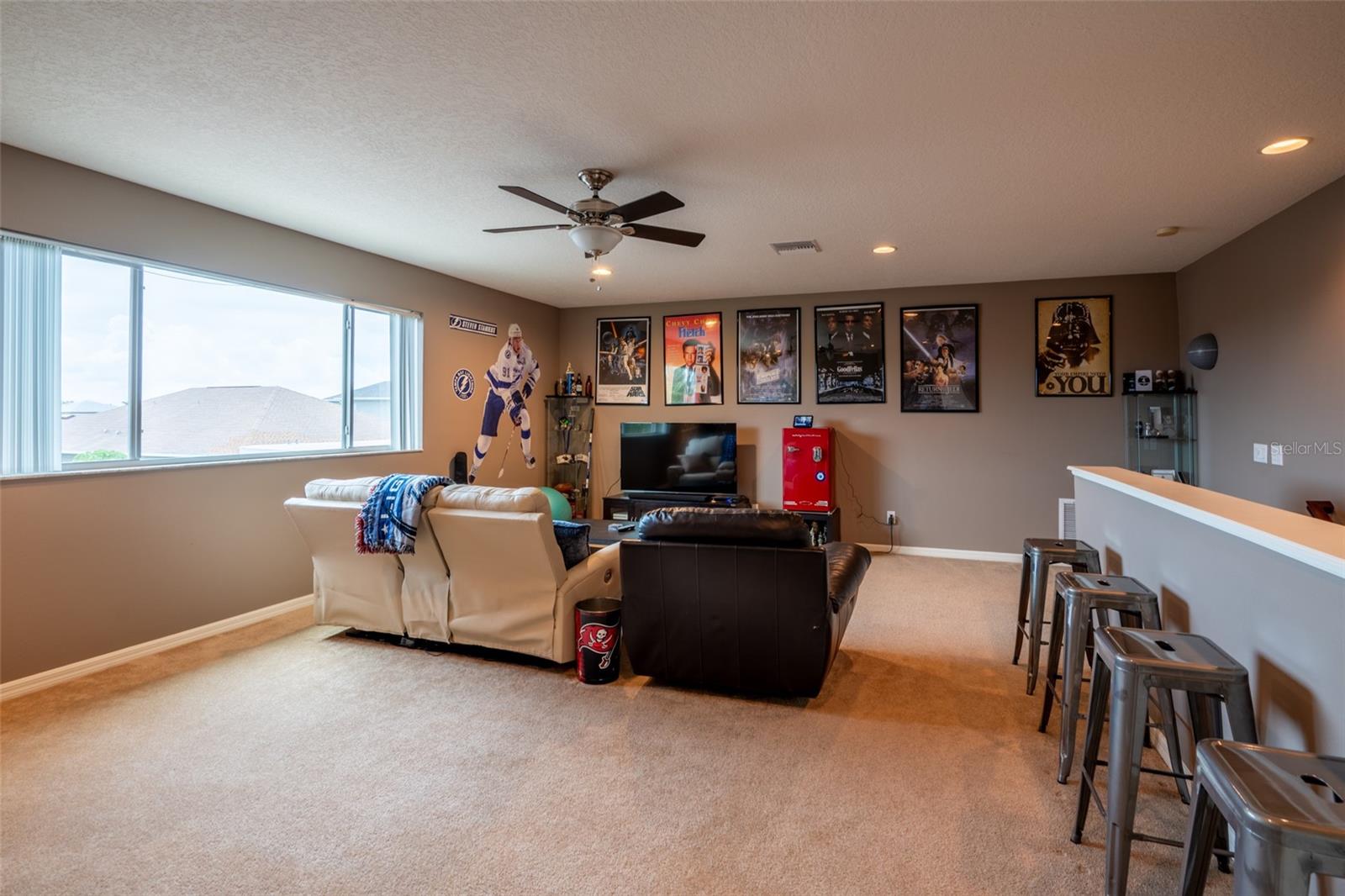 WOULD MAKE A GREAT MEDIA ROOM