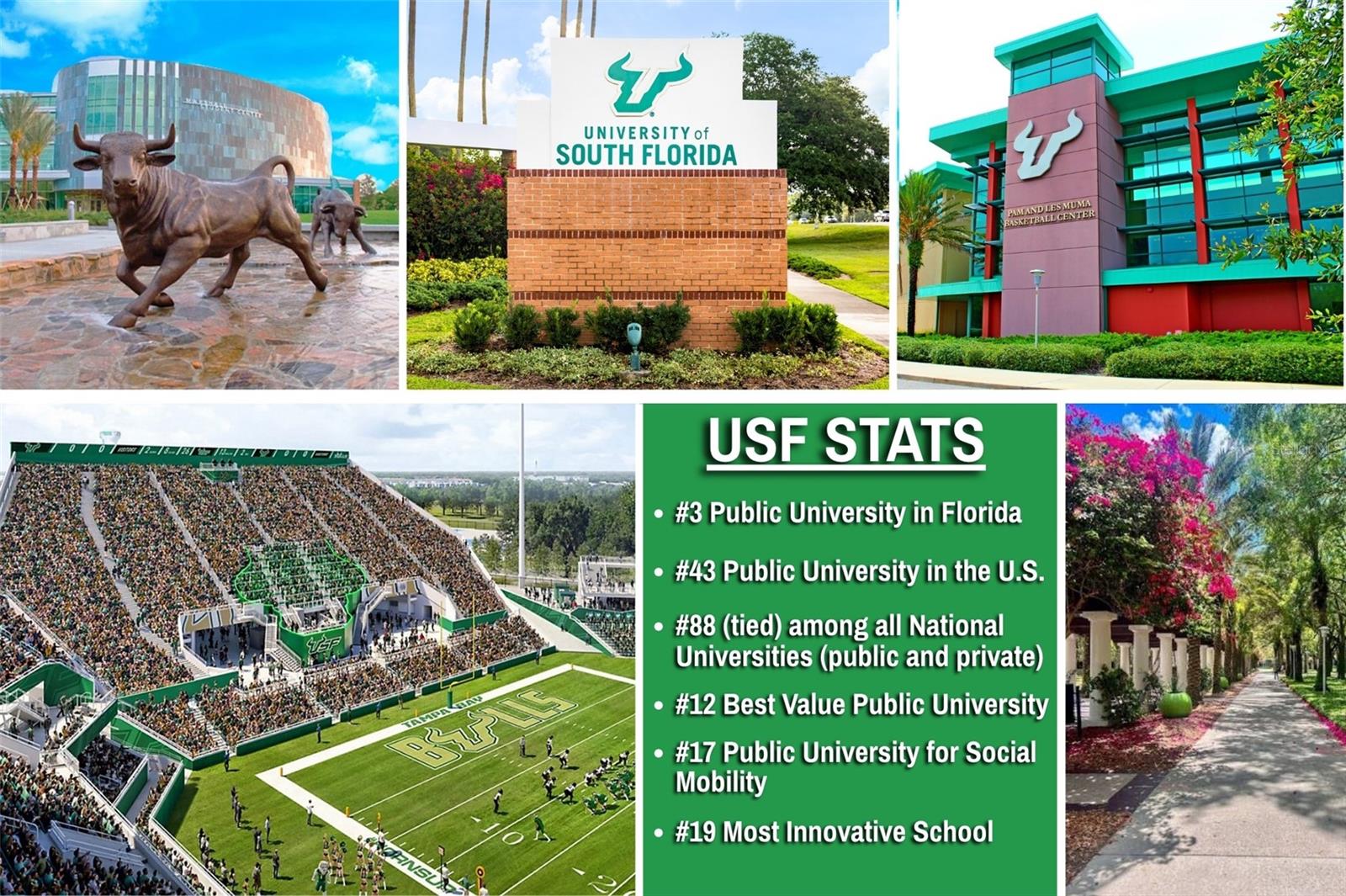 University of South Florida USF Tampa Campus -