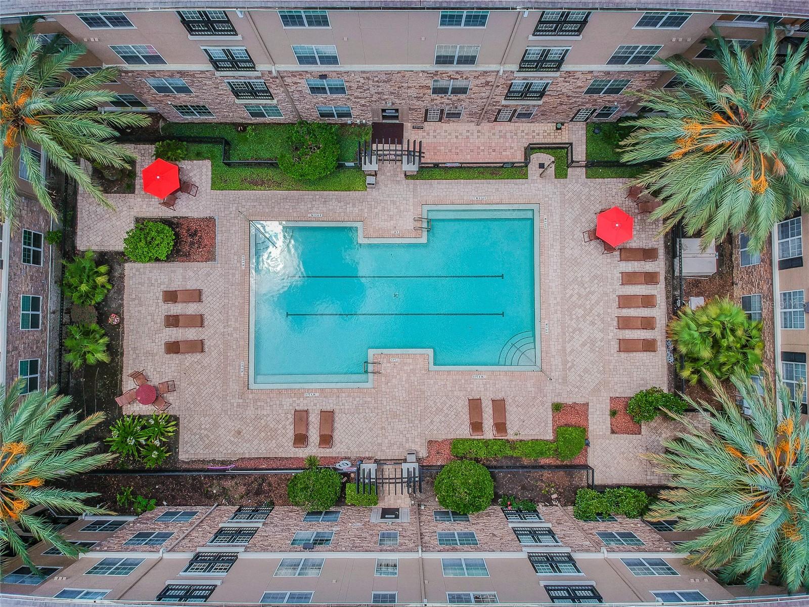Courtyard Pool