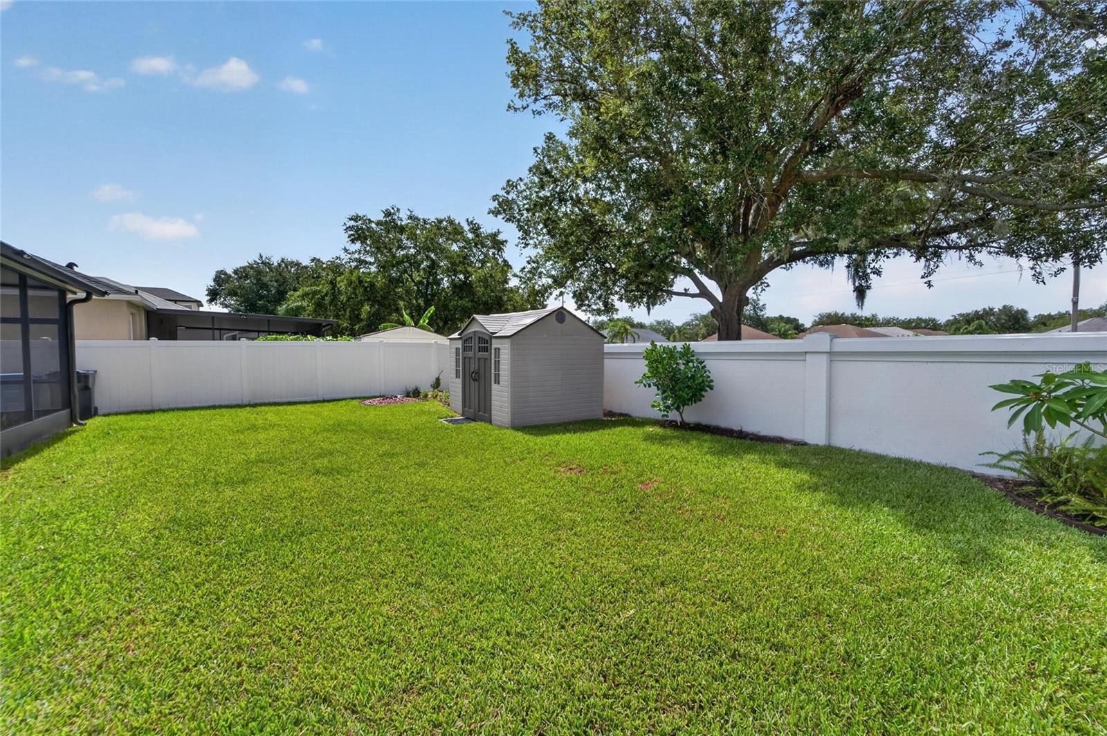 Backyard