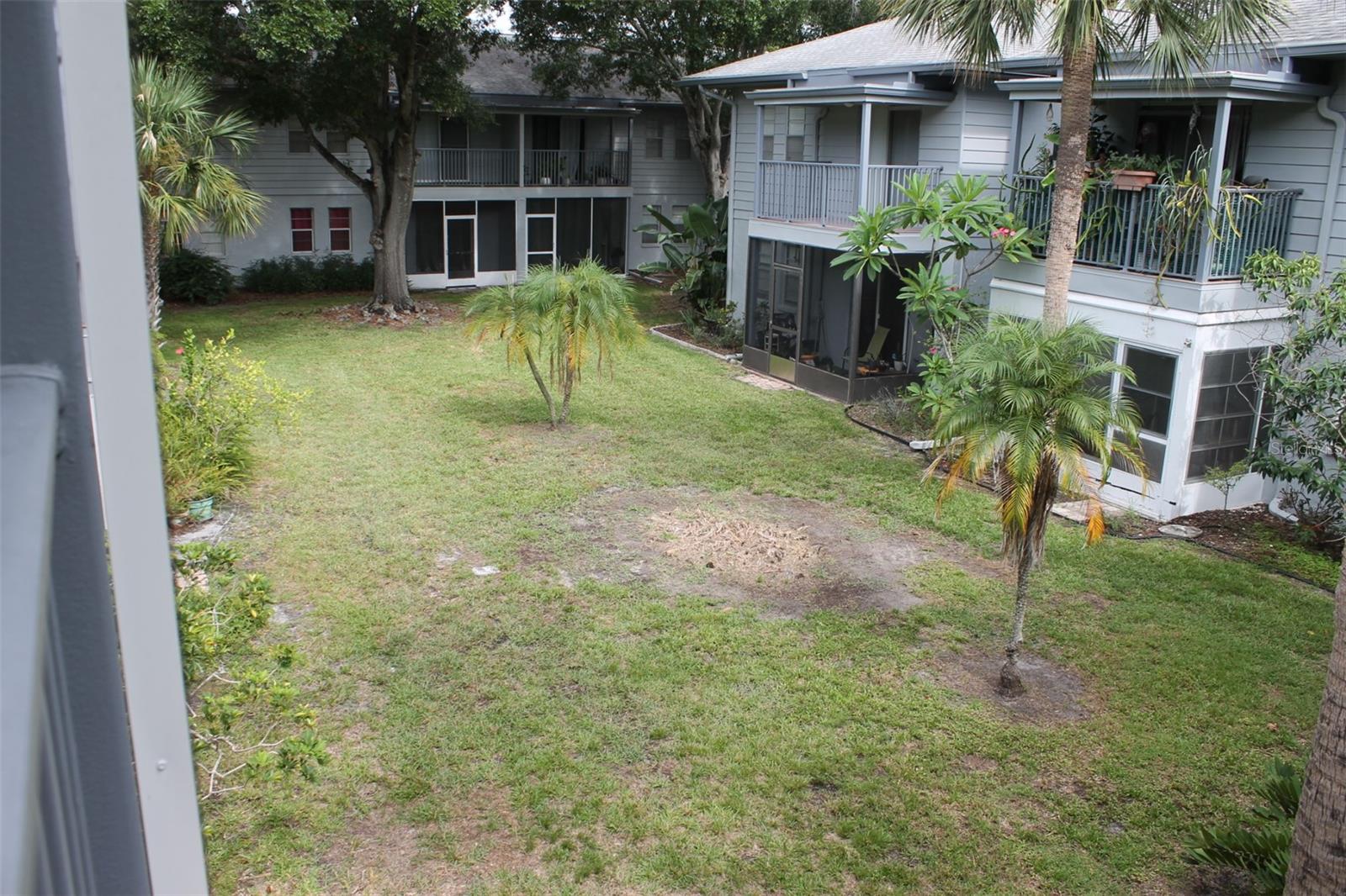 View from Balcony