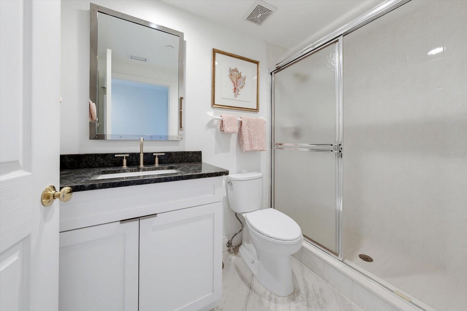 Guest bathroom with beautiful vanity
