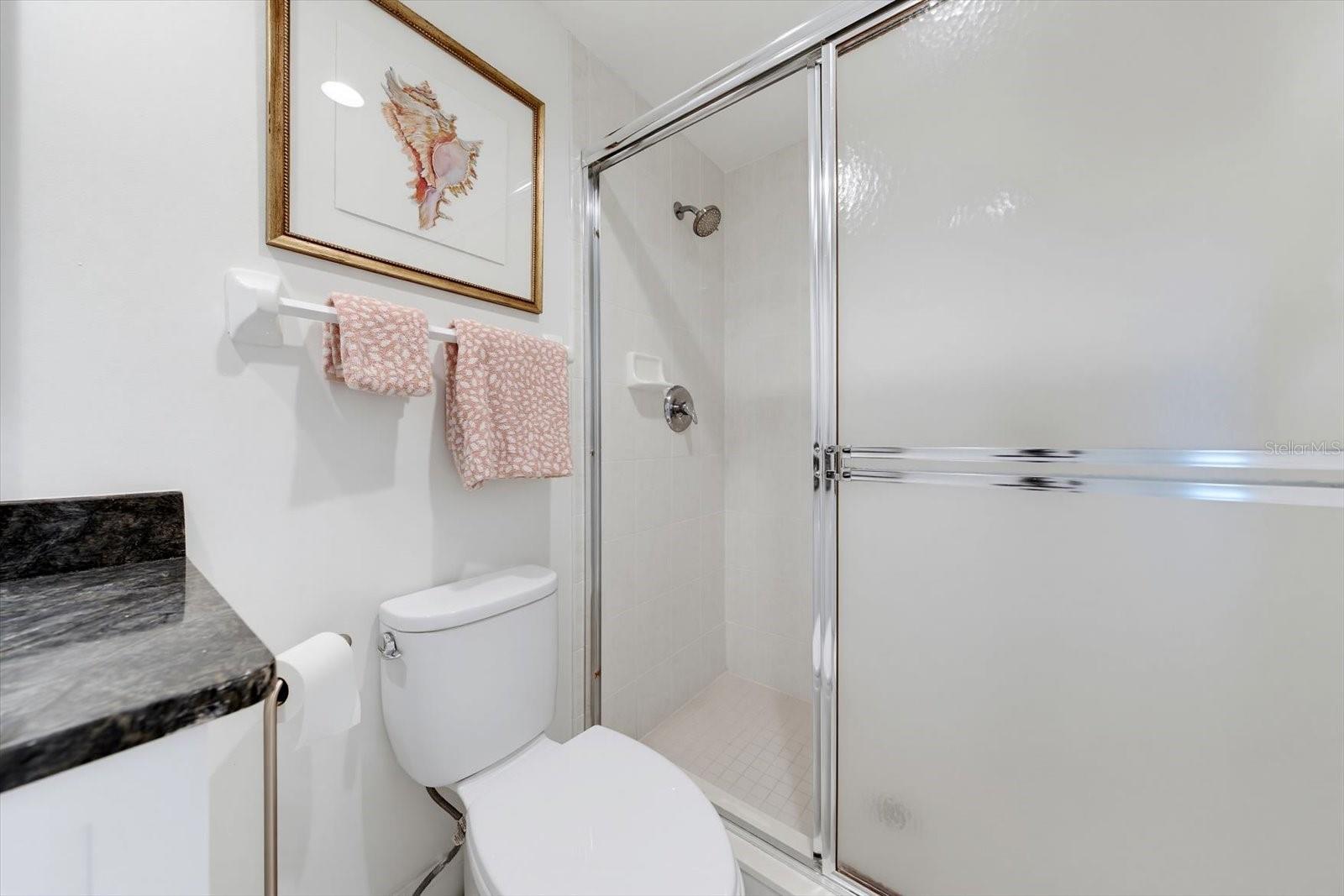 Guest bathroom shower