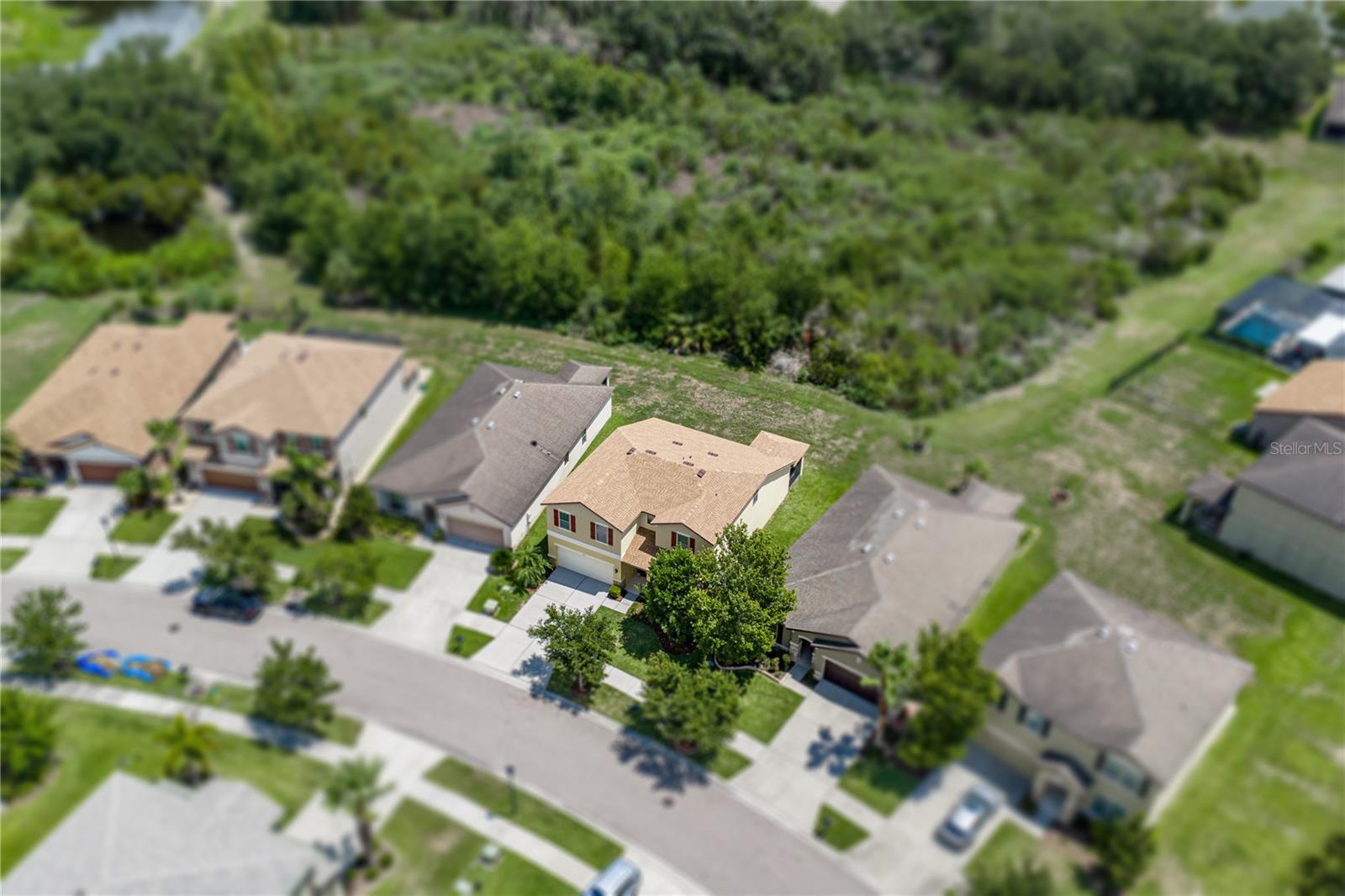 Exterior Elevated Conservation Lot View