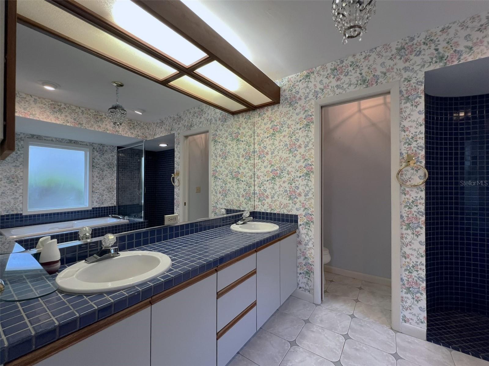 principal bath - dual sinks