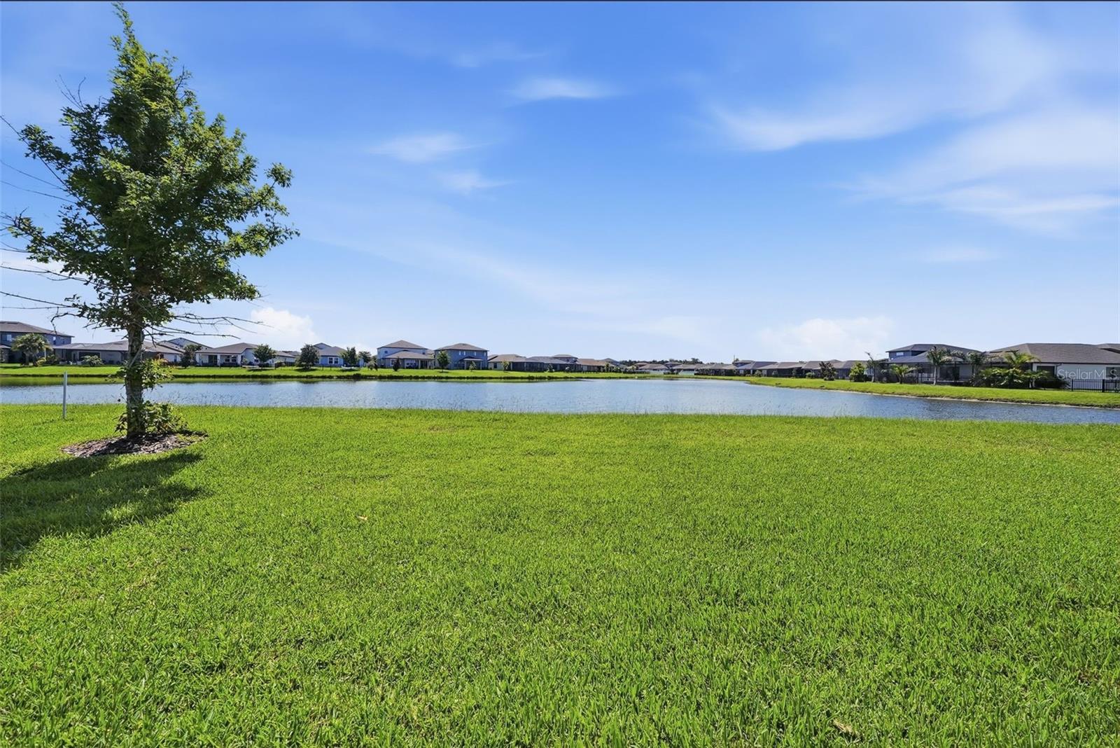 Beautiful pond view from the back of the home.