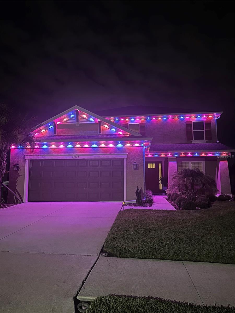 Permanent Outdoor Lights