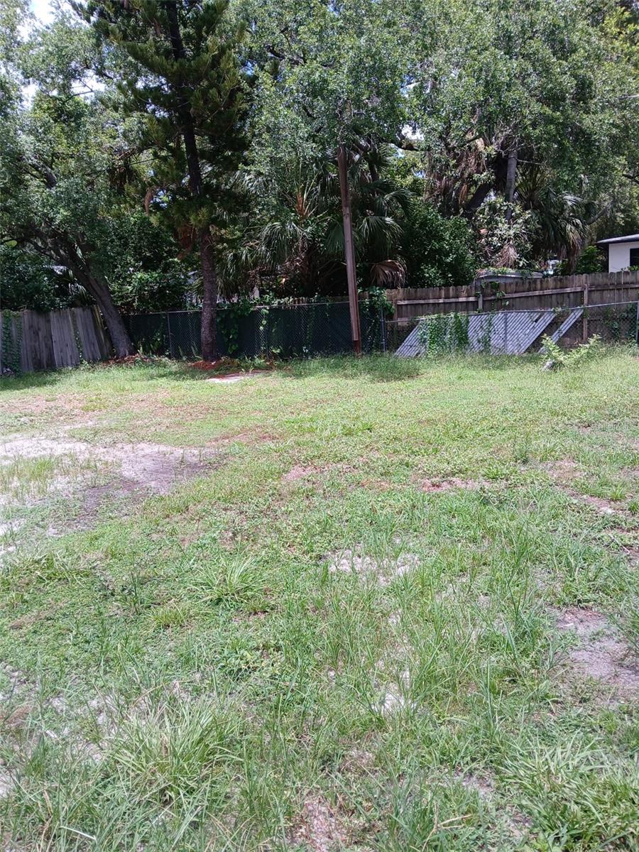 Rear Yard