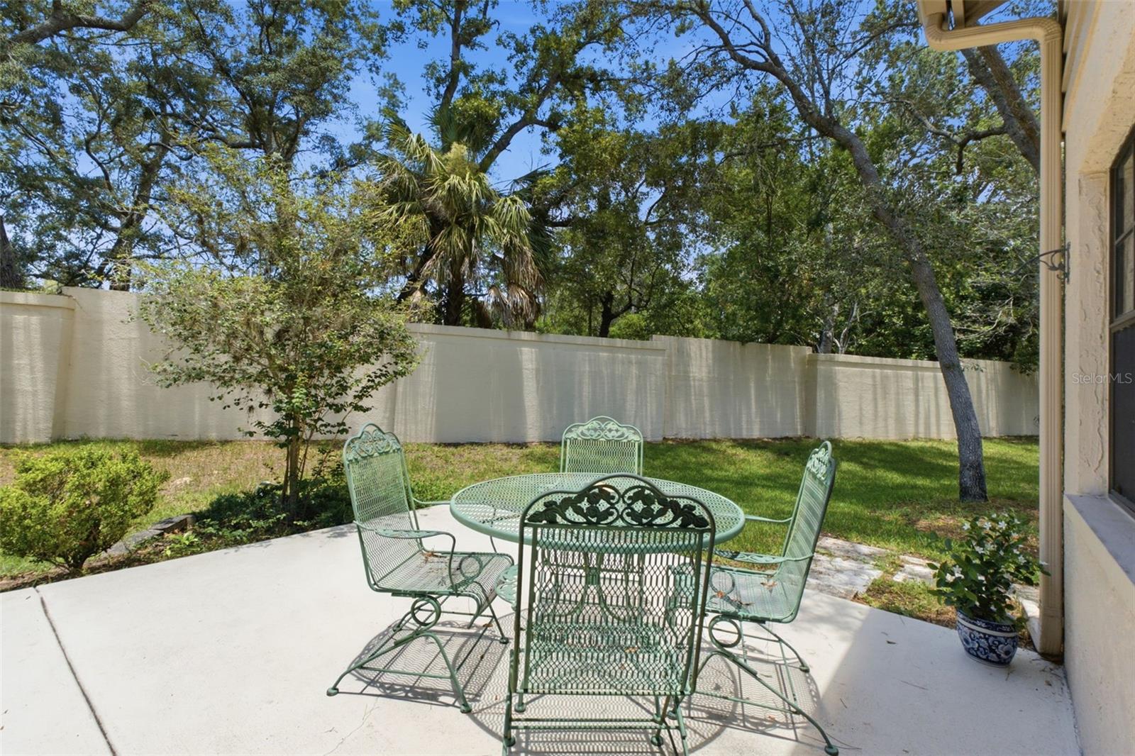 Rear patio.