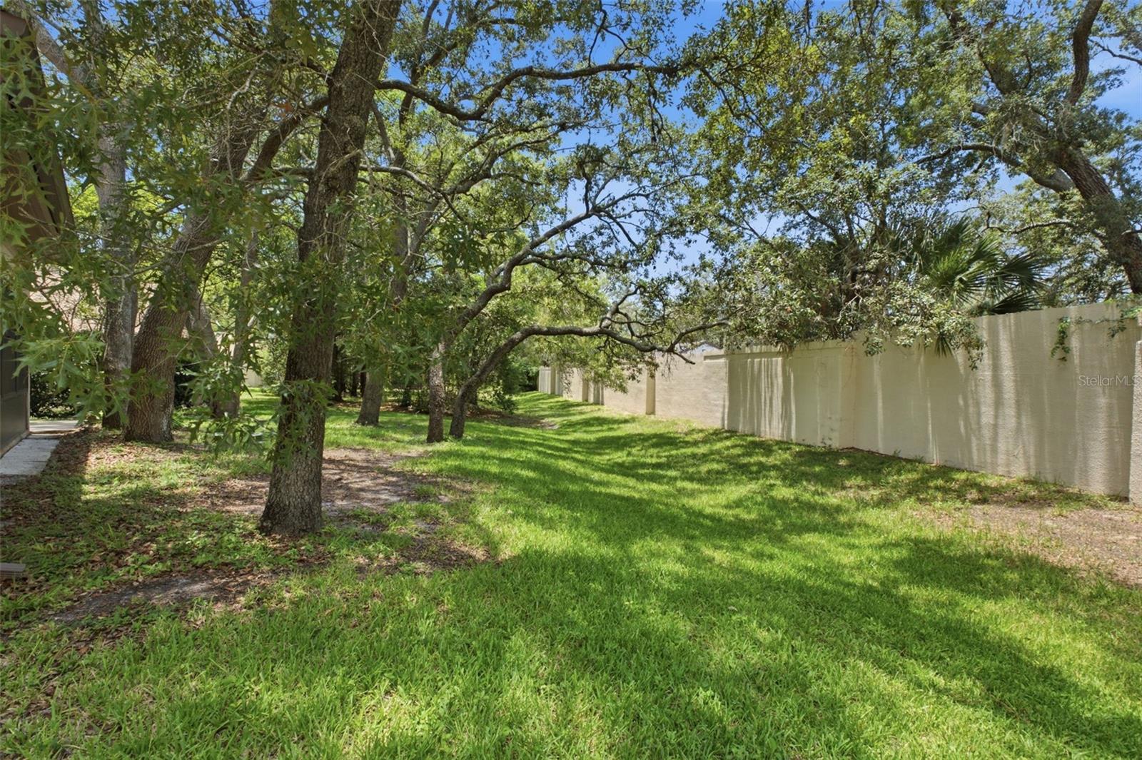 Rear yard with privacy wall.