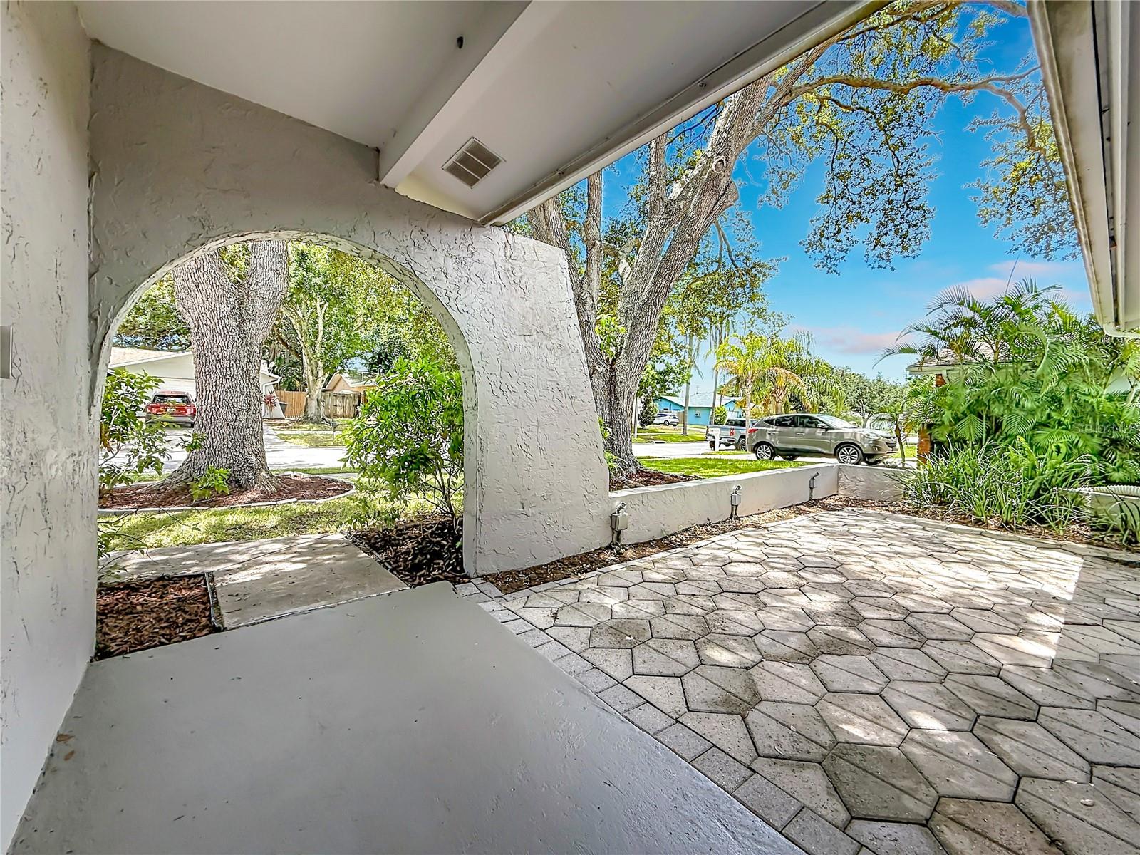 Front Patio and Serene Tree Canopy