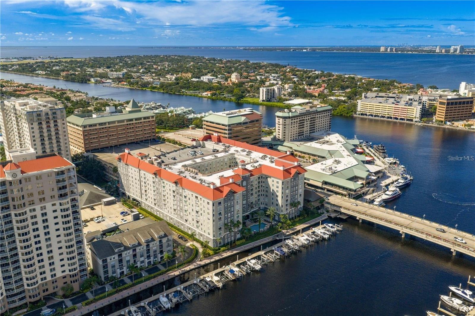 View of Parkcrest and Jacksons Bistro, American Social and Tampa Bay