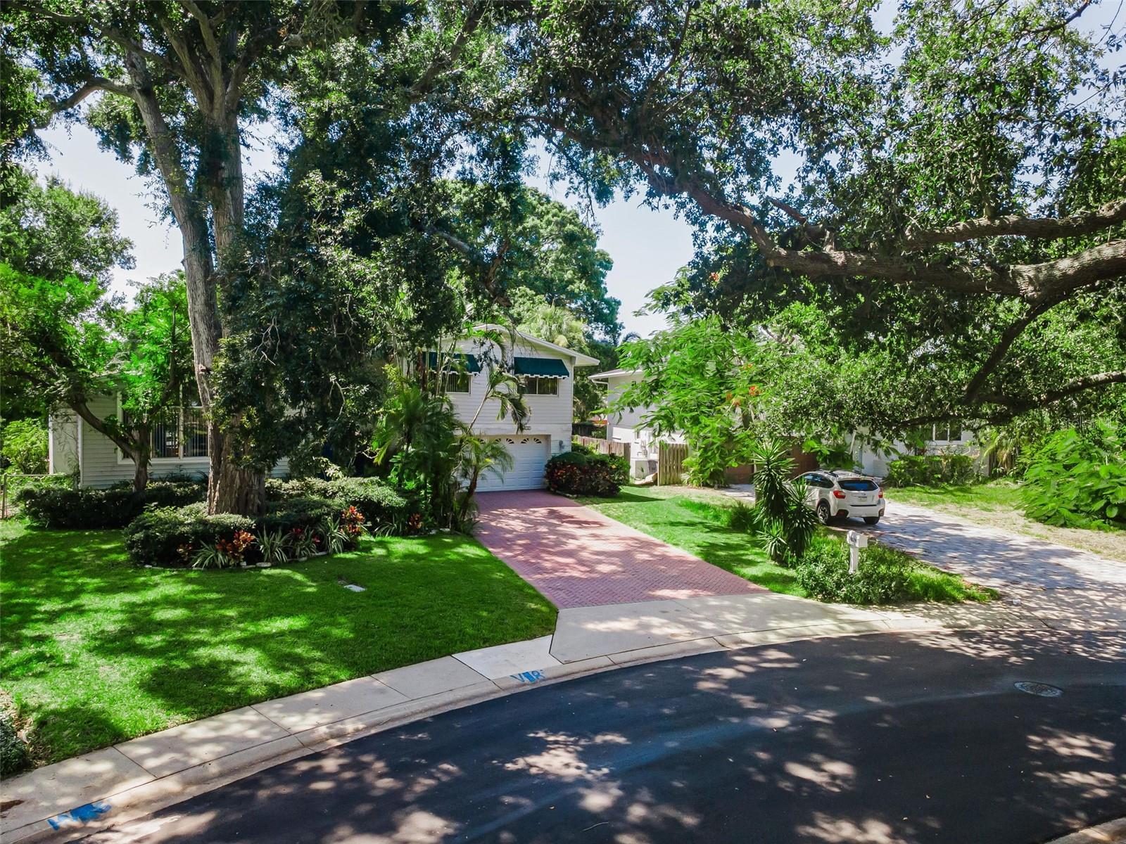 Tree shaded, cool and quiet private street!