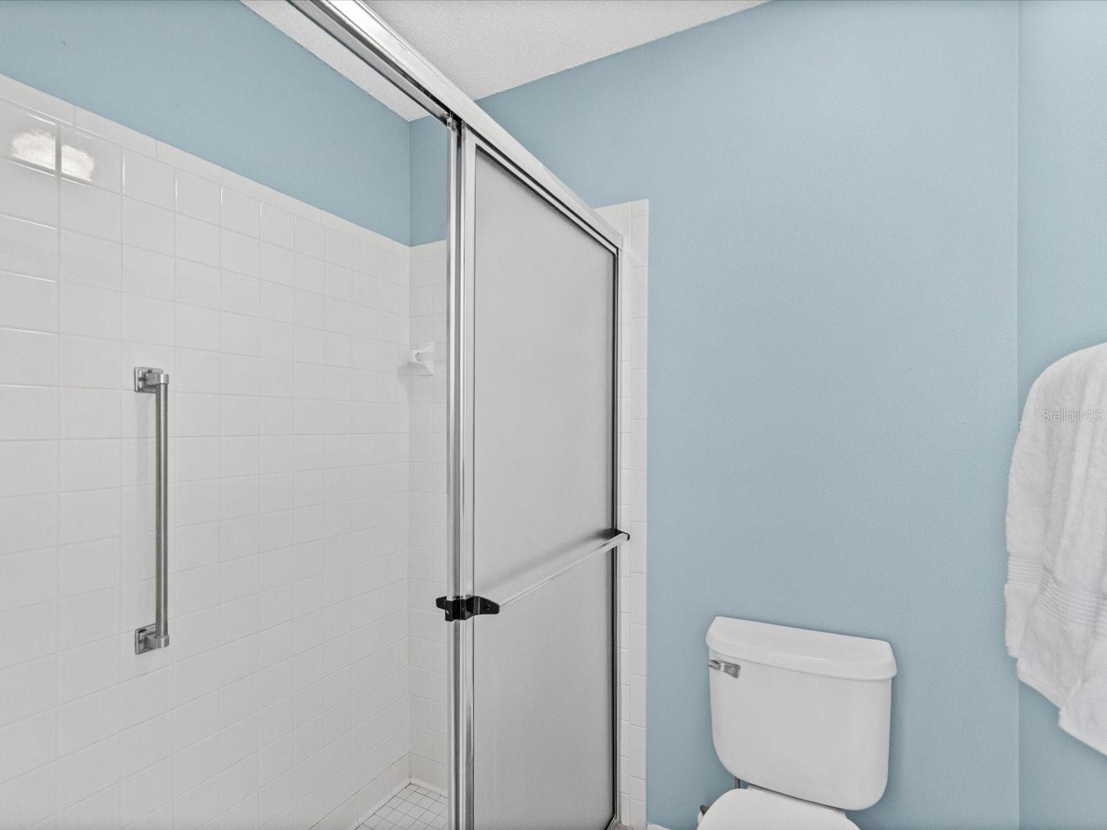 Primary bathroom shower area