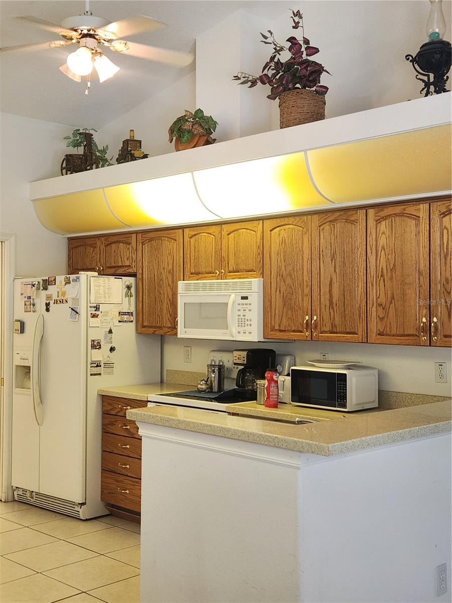 kitchen view 2