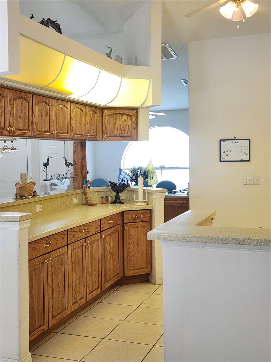 kitchen view 3