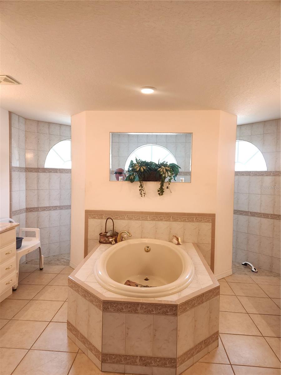 master bath garden tub