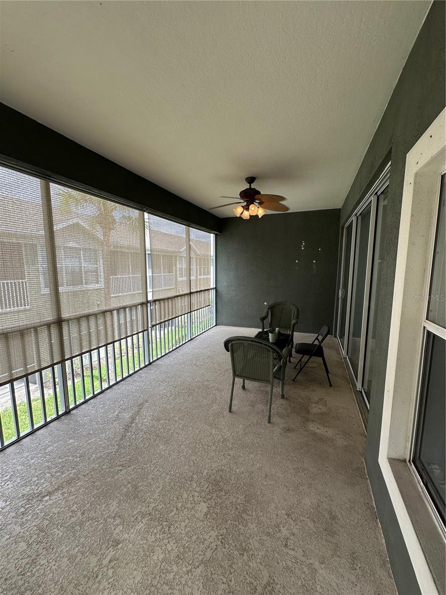 Back Patio