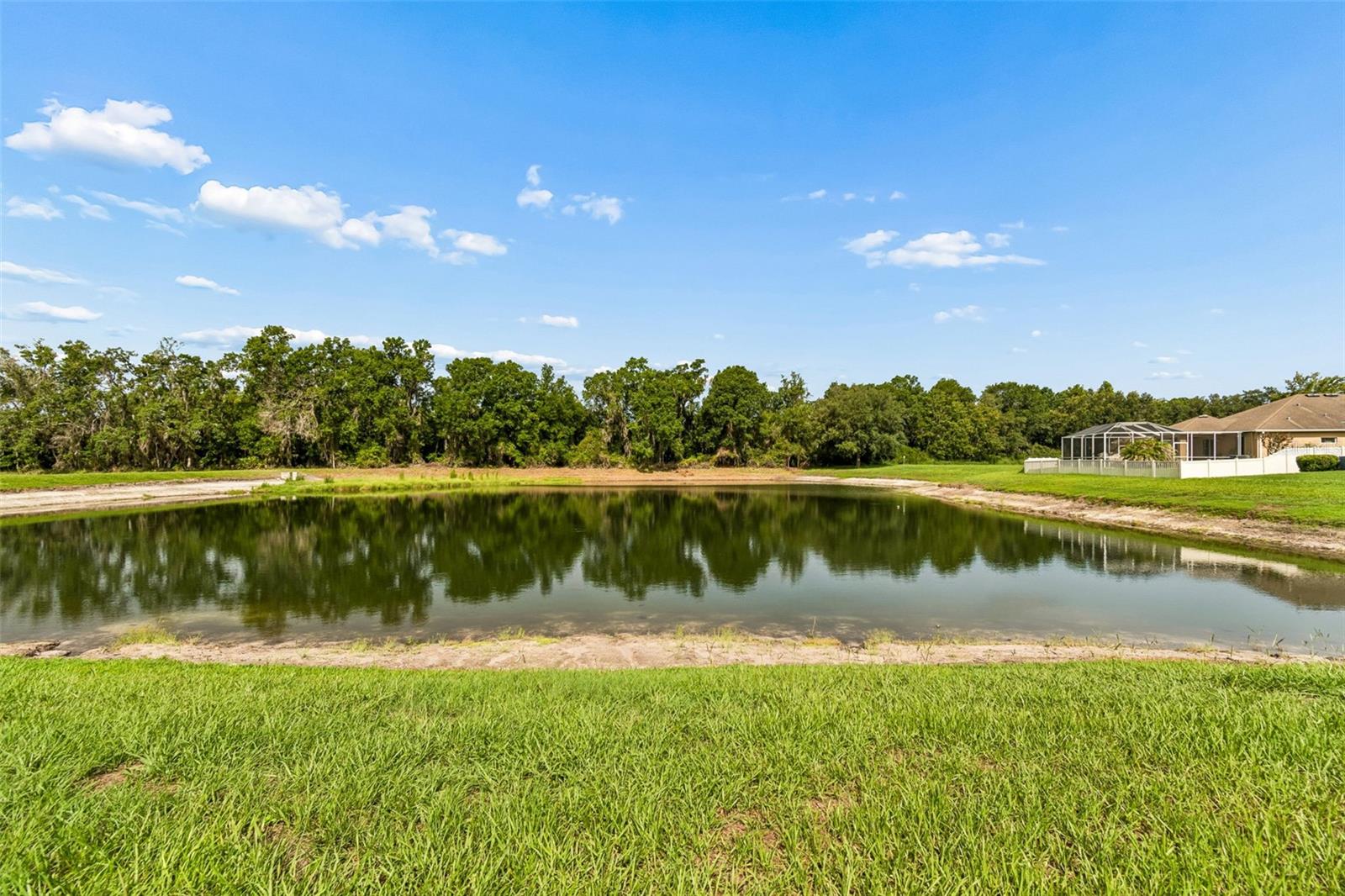 pond/conservation view