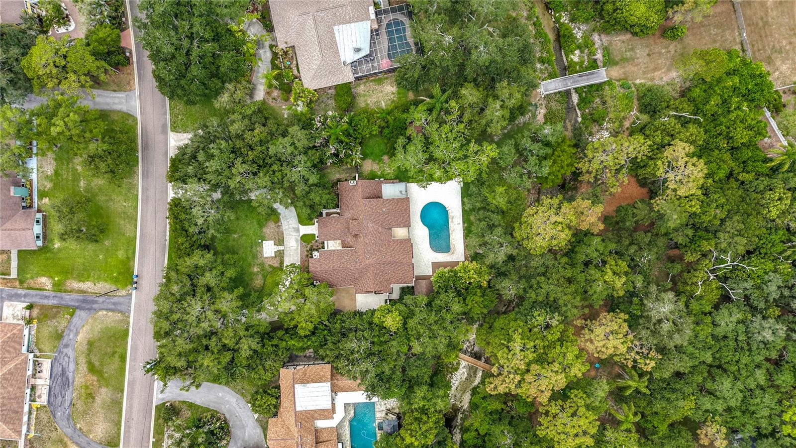 1850 Oak Creek Dr -Dunedin Estate