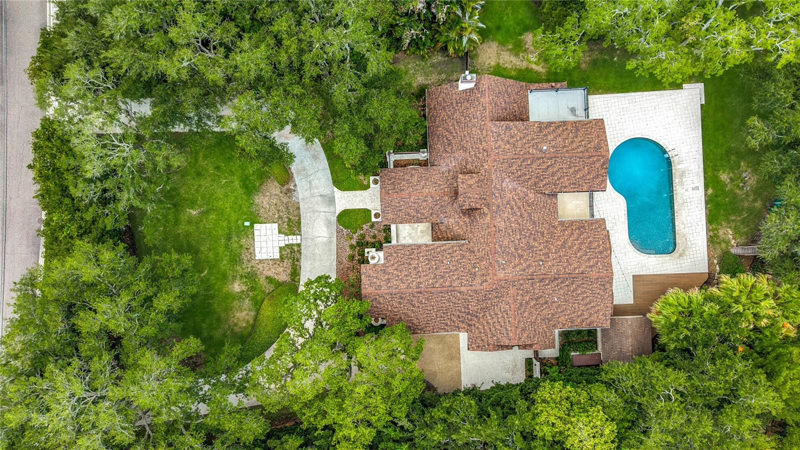 Bird's Eye