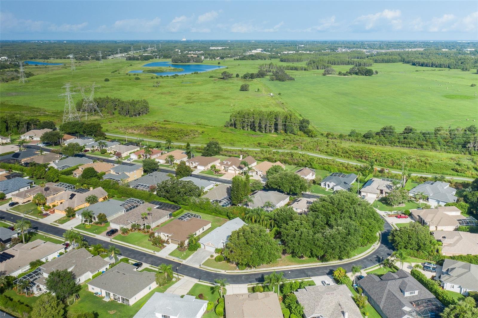 Neighborhood Aerial