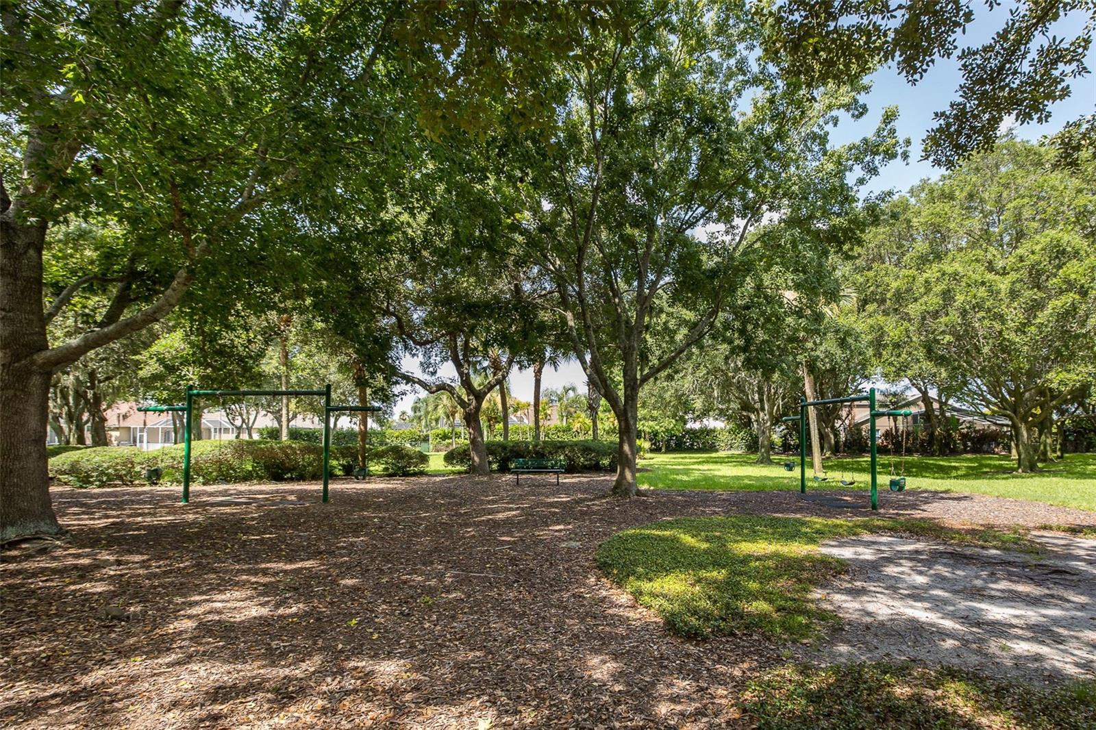 Community Park