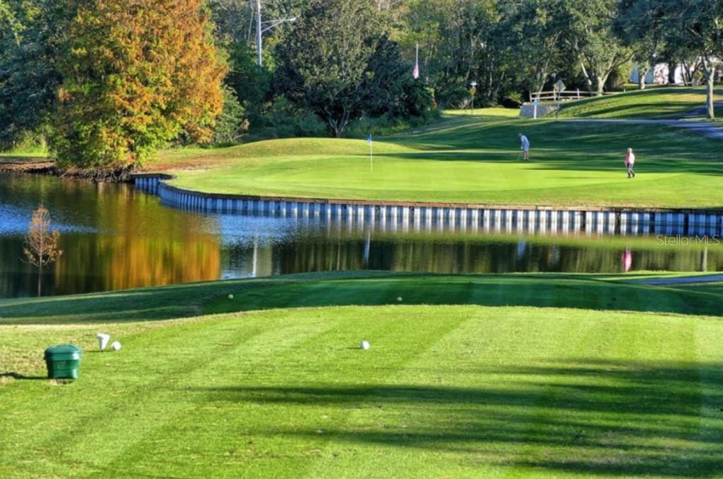 Three 9-Hole Golf Courses: Unlimited play included in HOA fees for residents