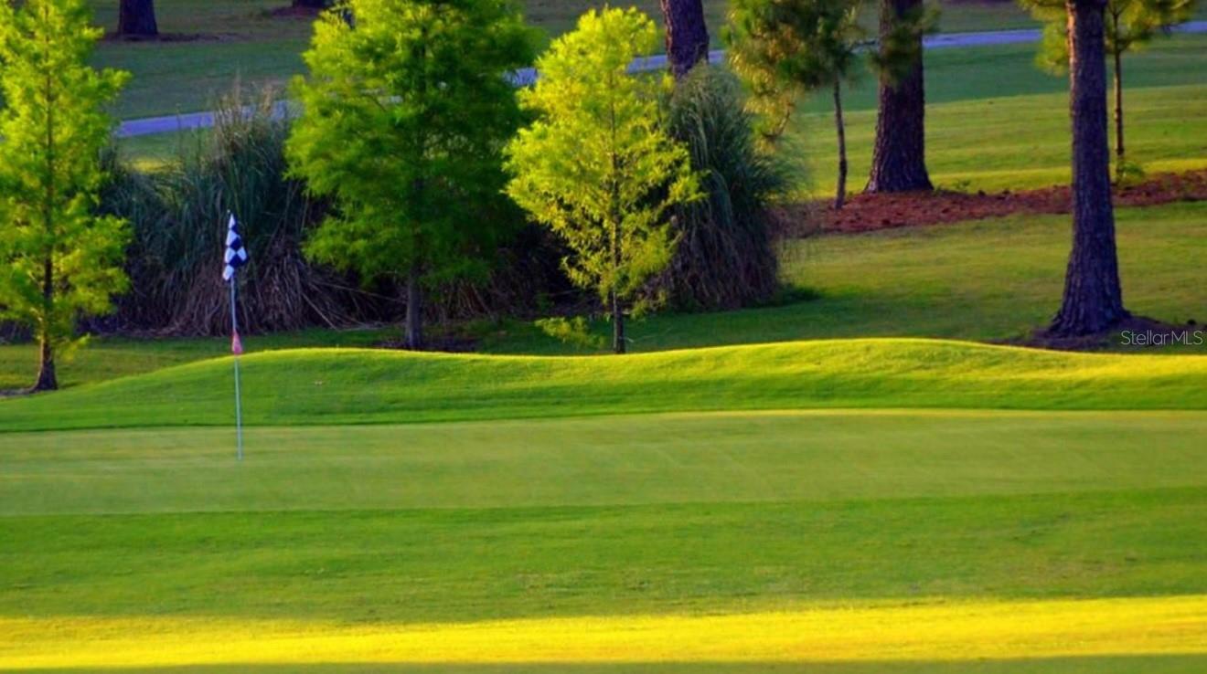 Minutes from the course & golf cart friendly neighborhood