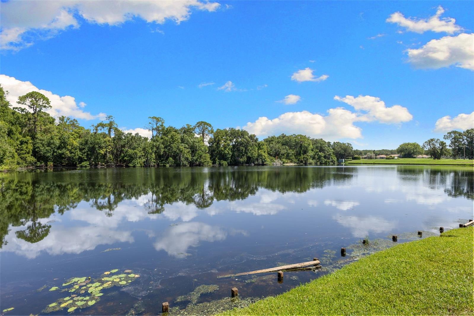 One of the home's defining features—peaceful water and wooded views create a serene Florida lifestyle that's difficult to duplicate.