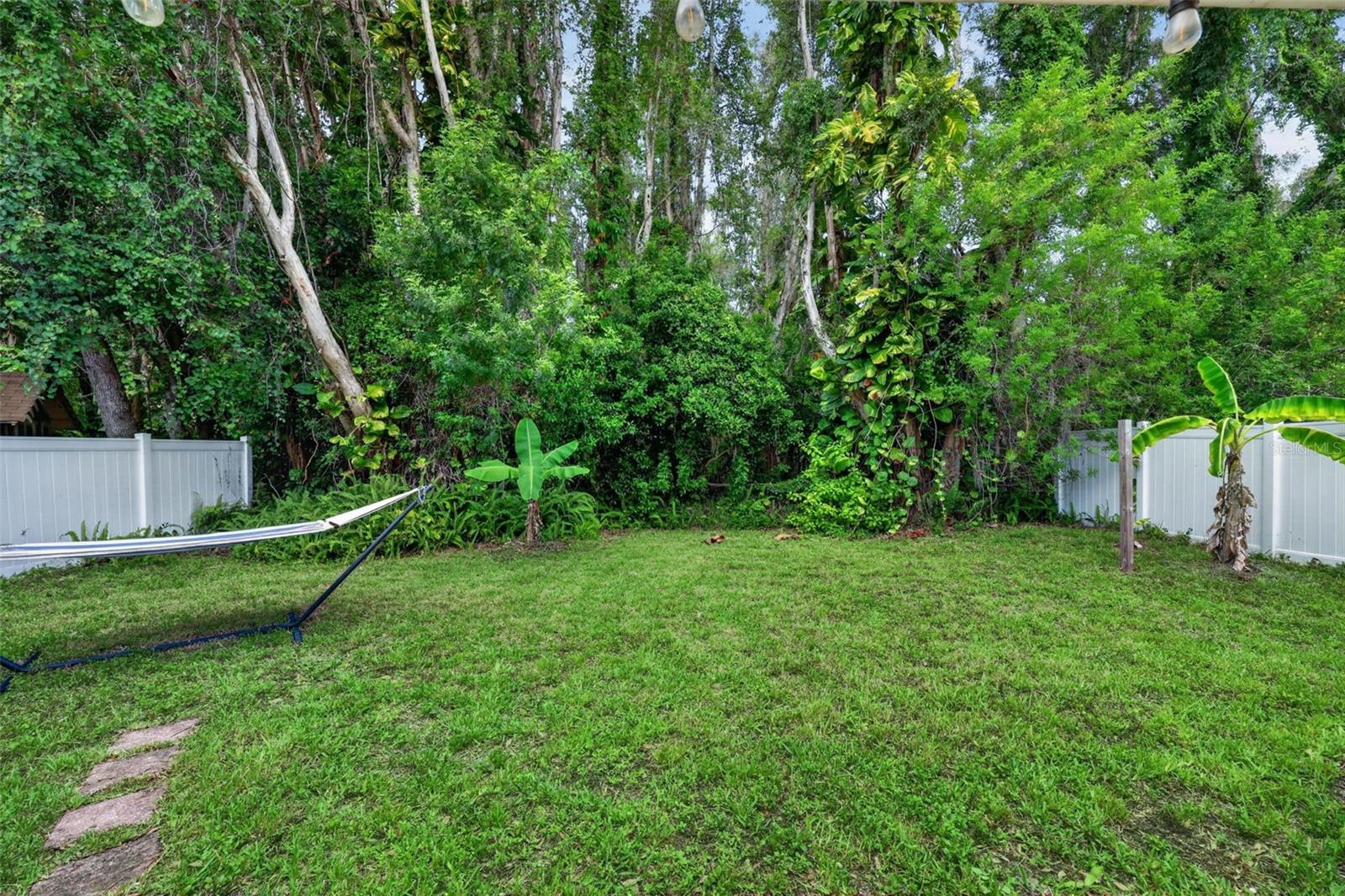 Conservation Like Backyard