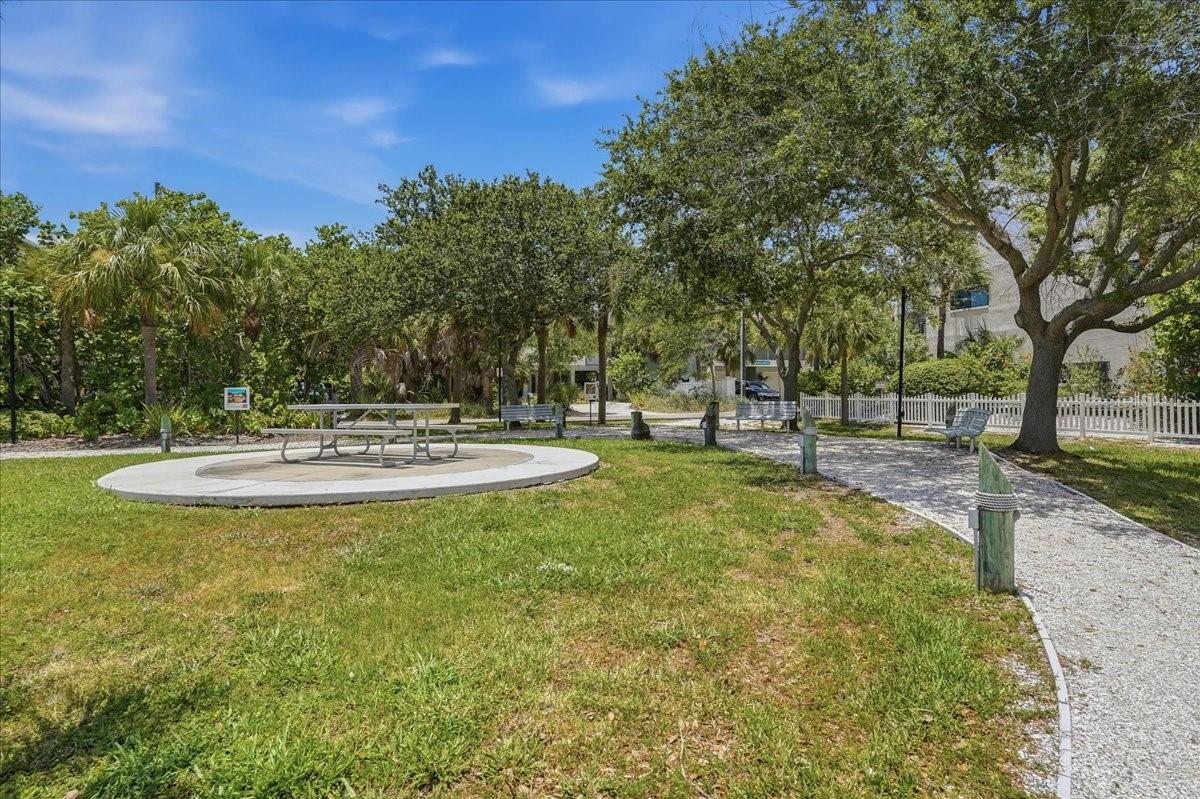 Beautiful, Tropical Landscaping throughout Indian Rocks