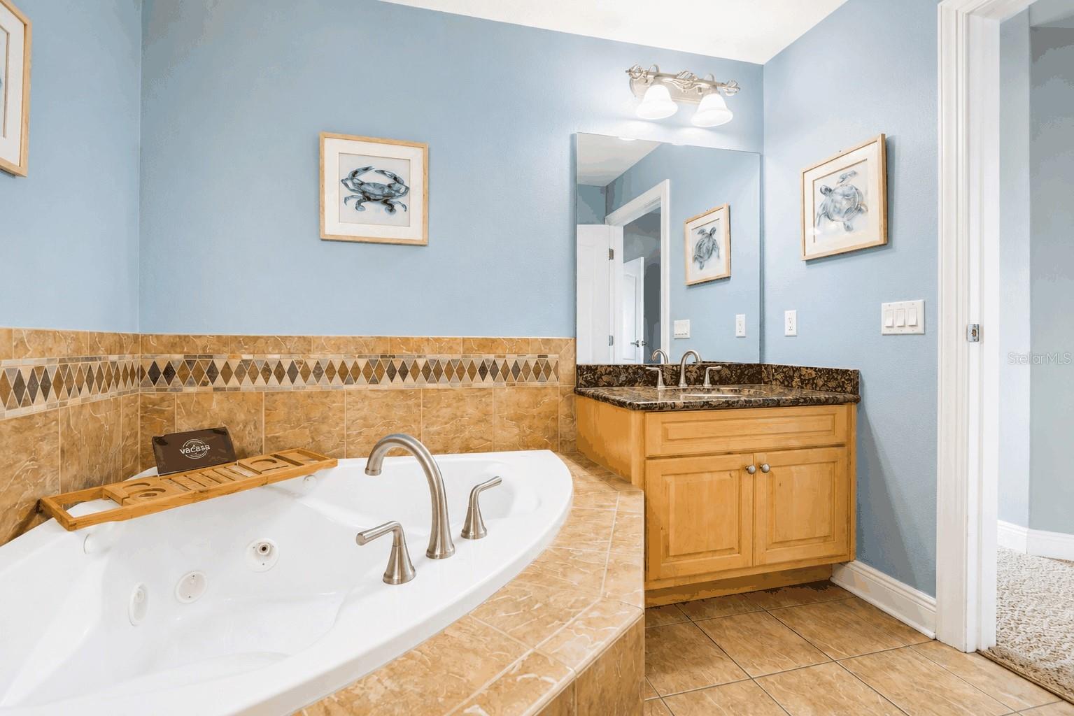 Primary Bath Spa tub